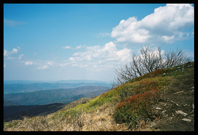 **Bieszczady 2oo5**