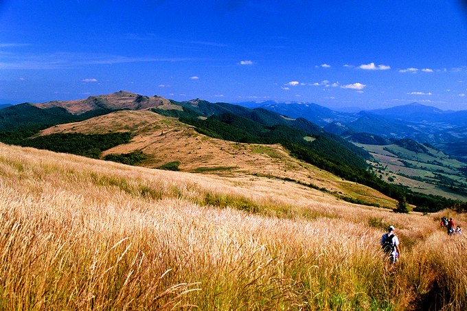 Bieszczady...