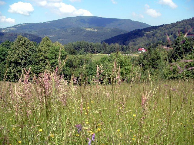 Beskid Slaski - okolice Wisly