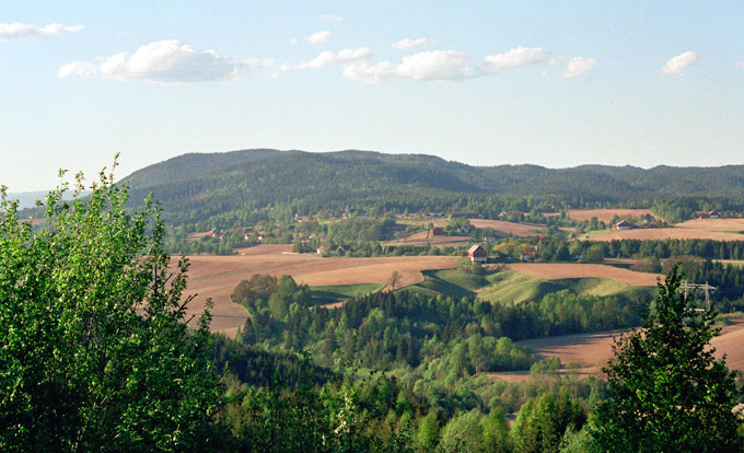 Widoczek