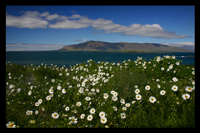 moja islandia...