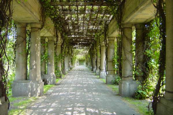 Pergola