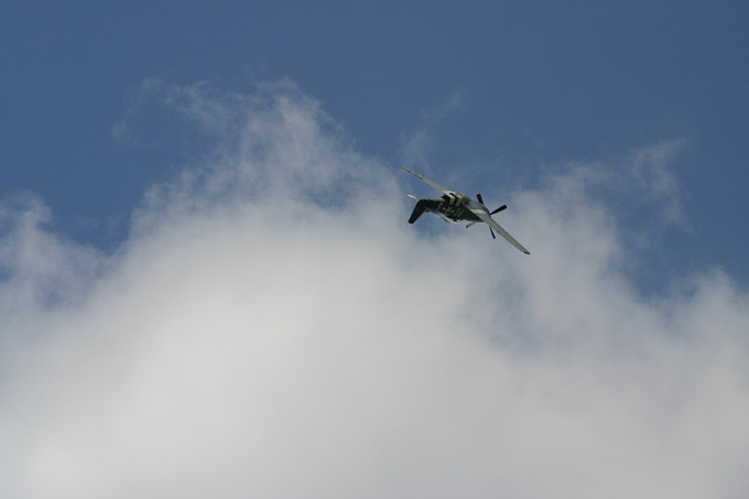 p51D Mustang