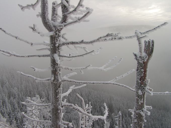 W drodze na Śnieżnik