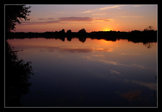 Narew