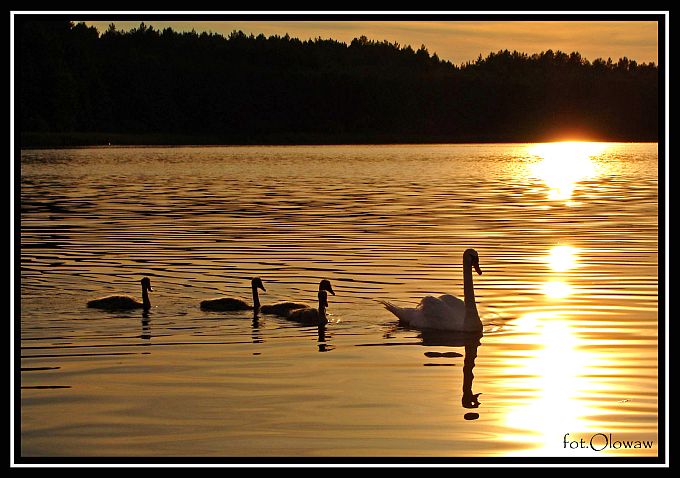 Ehhhh, te mazury...