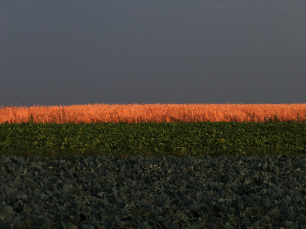 przed burzą