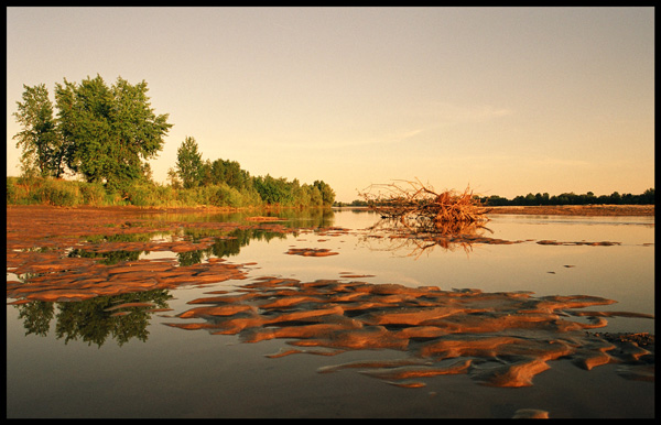 By the river