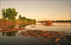 By the river