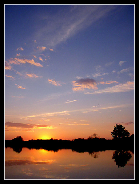 Narew