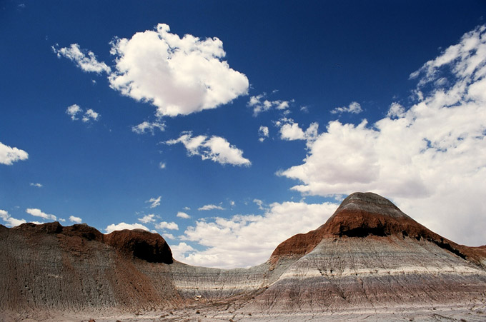 painted desert