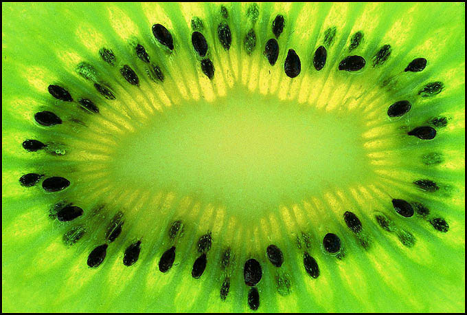 kiwi