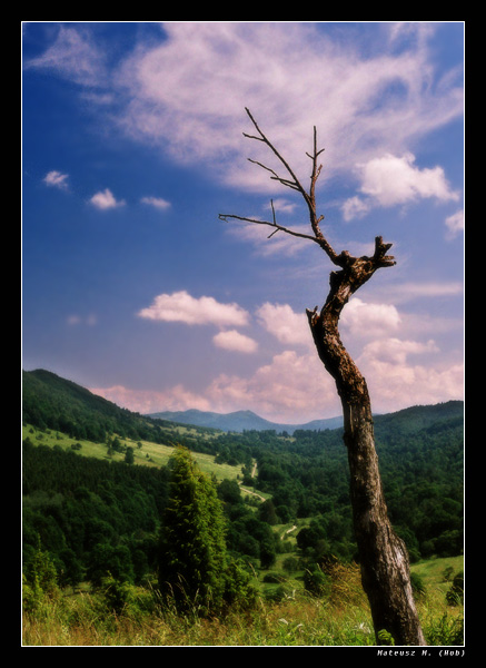 Bieszczady