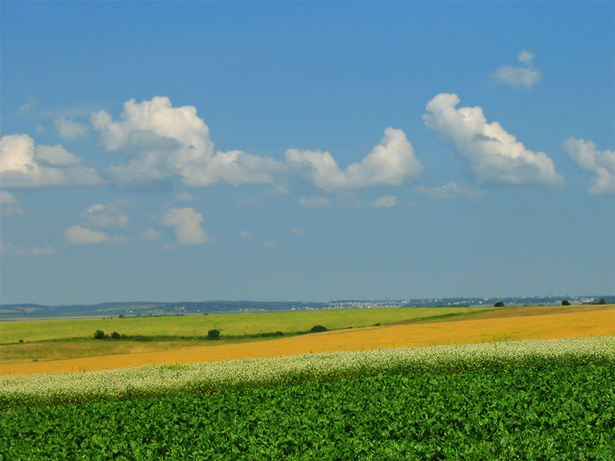 Kresowy pejzaż