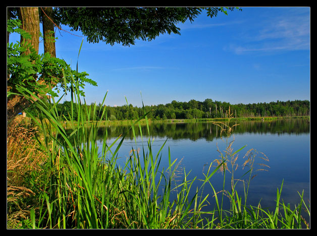 Tychy - Czułów