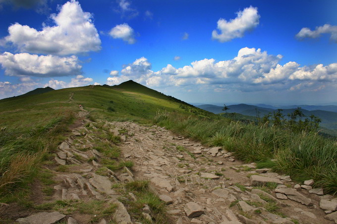 Połonina Wetlińska (Bieszczady)