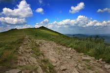 Połonina Wetlińska (Bieszczady)