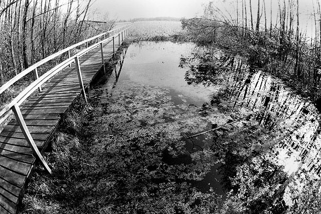 Poleski park narodowy