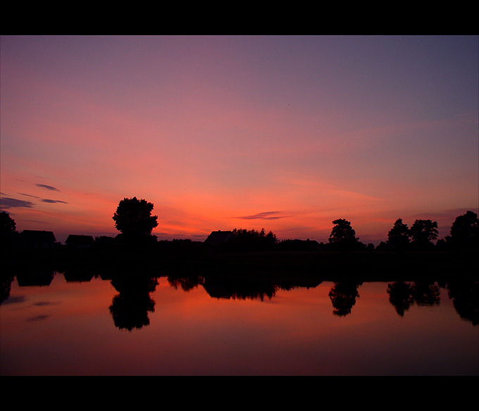 Narew