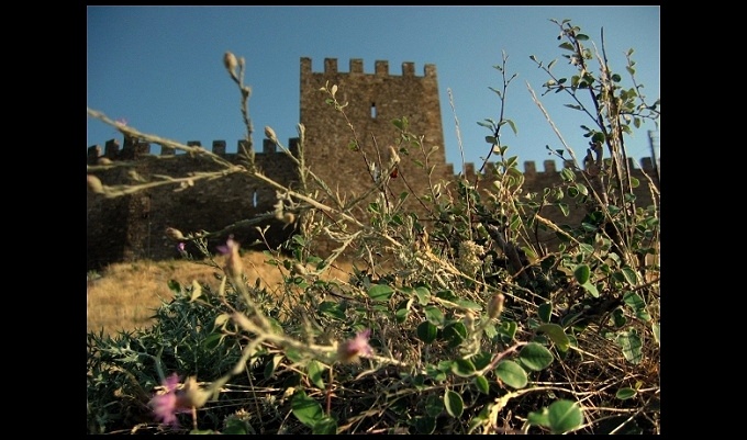 sudak-cudak