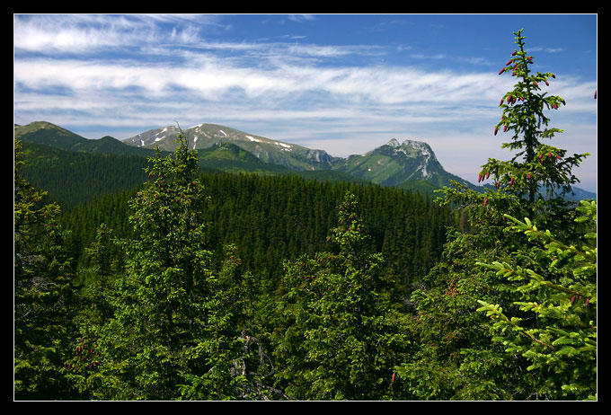 Czerwone Wierchy + Giewont...