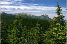 Czerwone Wierchy + Giewont...