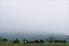 Bieszczady wrześniowe [12]