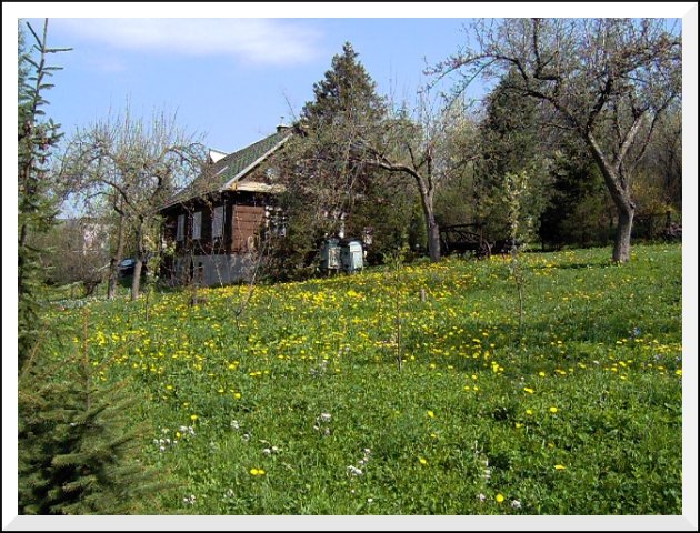 Górska chatka