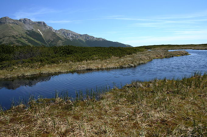 Białe Pleso