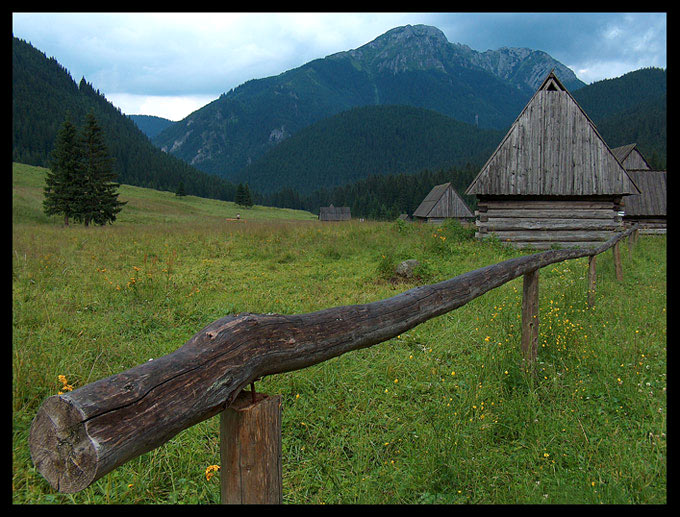 Góry to nasze spiętrzone marzenia... W górach ludzie jak one rosną ku niebu...