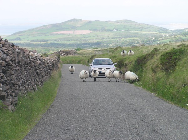 Traffic jam in Ireland.