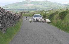 Traffic jam in Ireland.