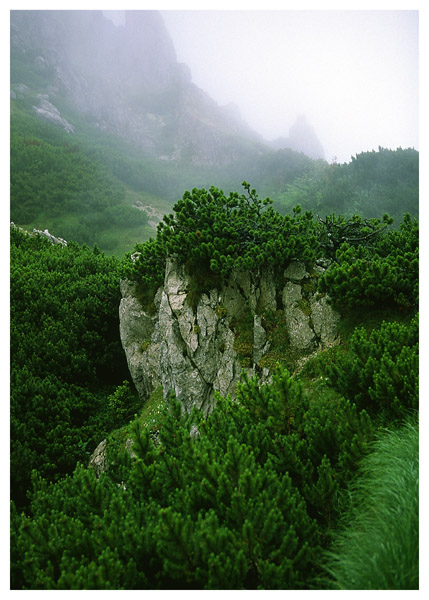 Tatry2