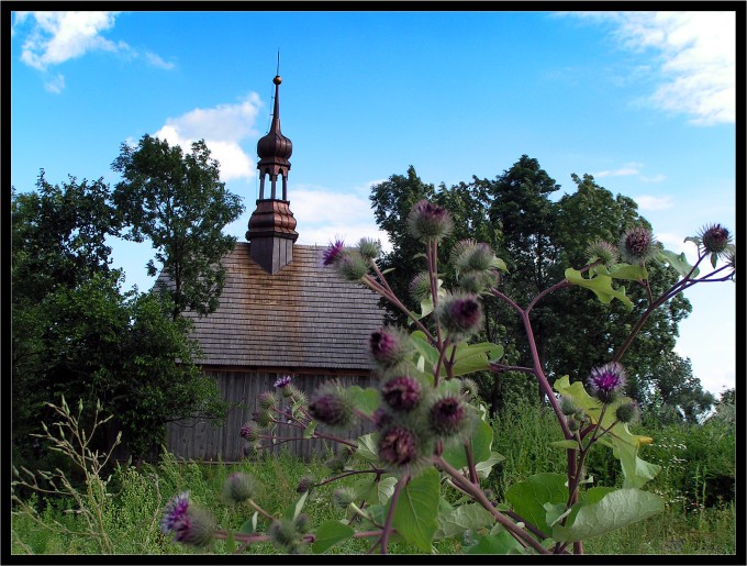 "ościsty" widok