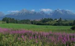 Tatry Slowackie o poranku