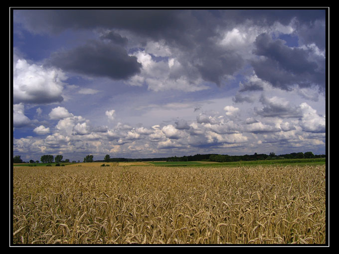 Na Podlasiu