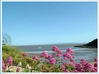 barry island