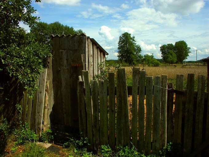 The Water Closet