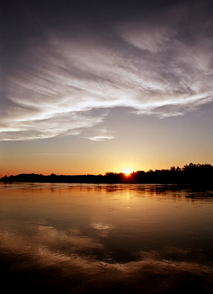 Narew