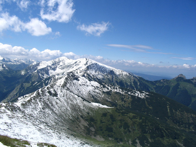 Kłoda MTB