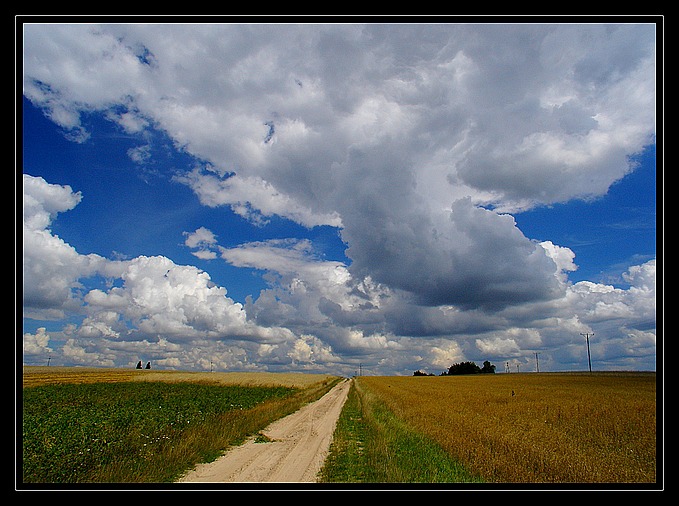 cd.podlasia