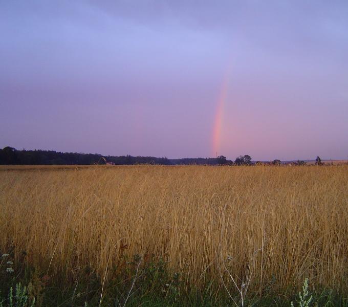 somewhere over the rainbow...