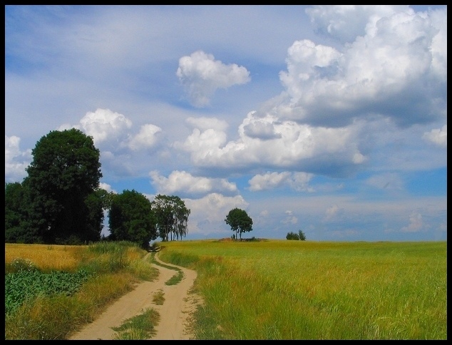 letni (kraj)obrazek