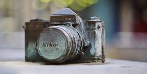 nikon