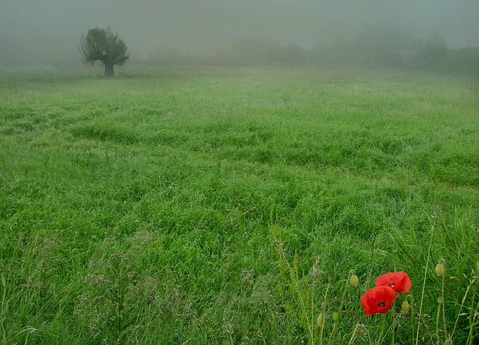 Pejzaż minimalny