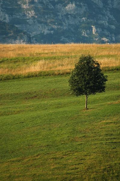 Samotność wcale nie musi być smutna i bezbarwna