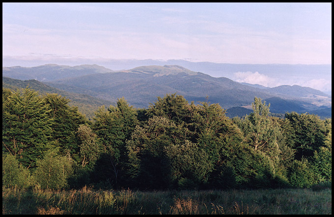 Bieszczady Wysokie