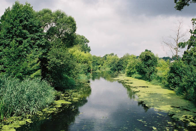 rzeka Orzyc