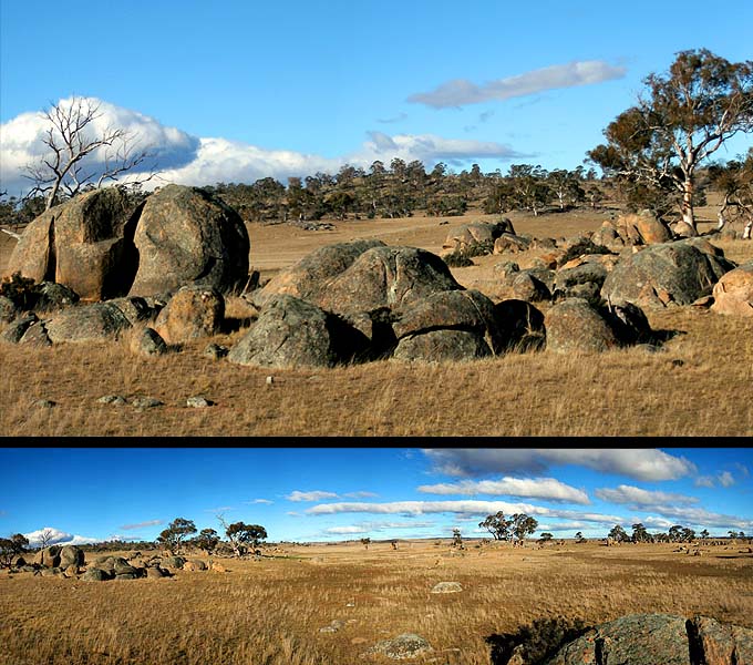 Australijski step