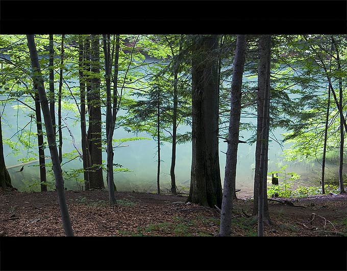 Bieszczady - Jez. Duszatyńskie